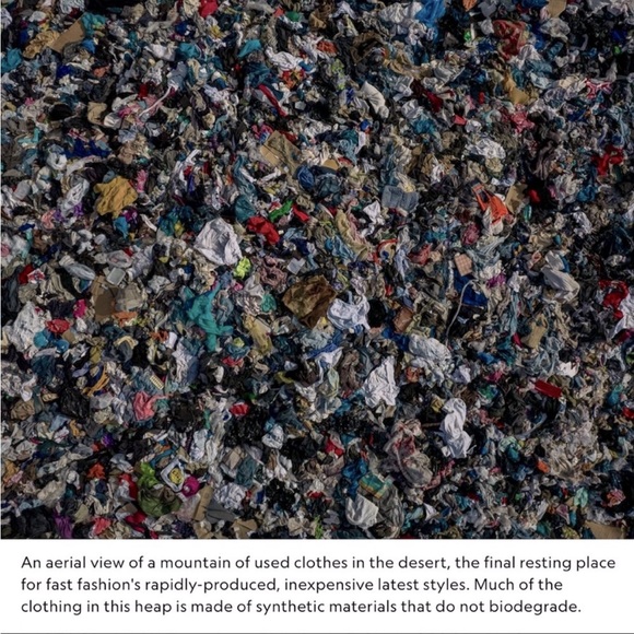 Meet your Posher, Deborah - Picture 3 of 6